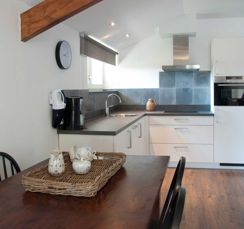 Keuken in Appartement de Tuinkamer bij Hoeve Linnerveld