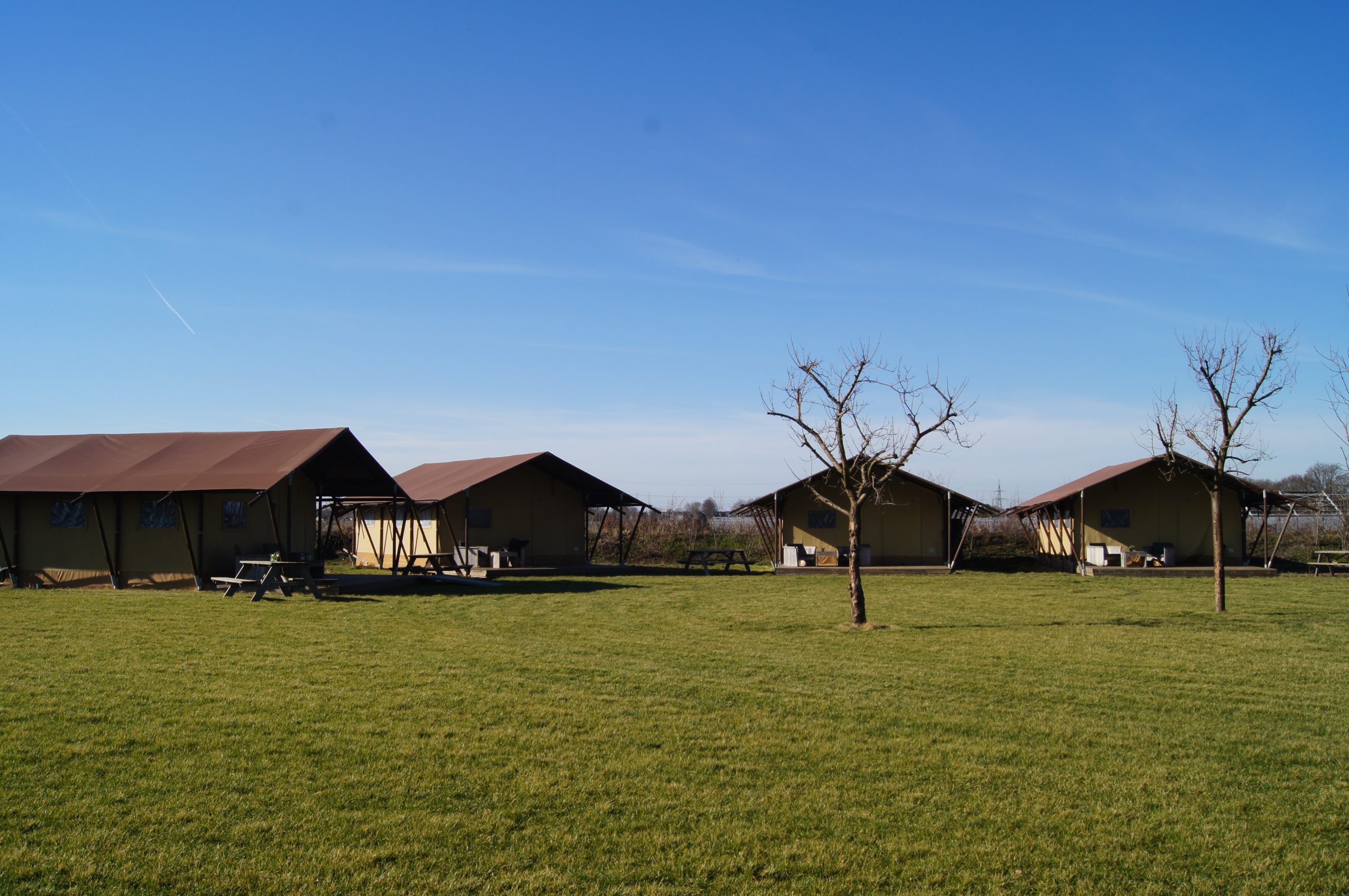 Grasveld voor Luxe Safaritenten bij Hoeve Linnerveld