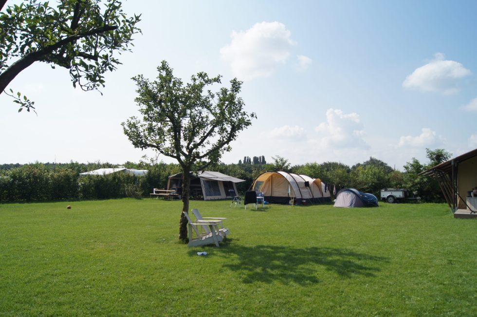 Mini Camping Hoeve Linnerveld