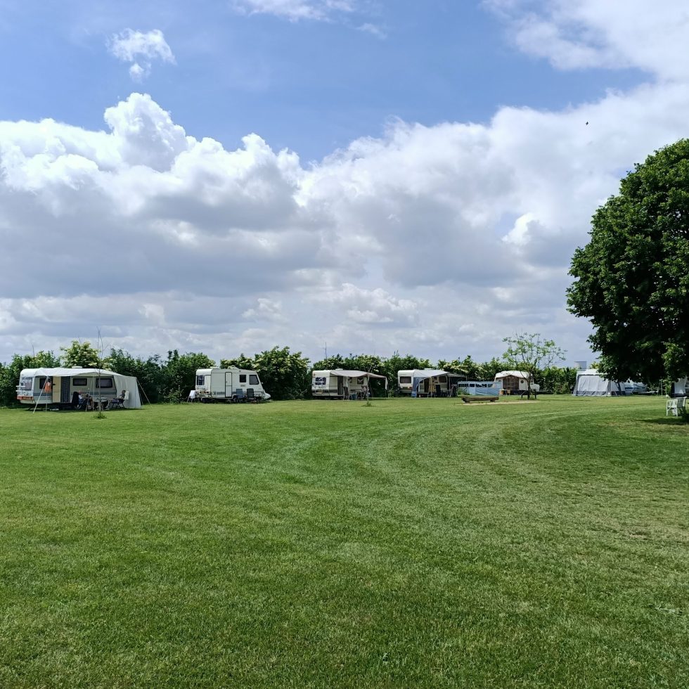 Caravans op de weide bij Hoeve Linnerveld